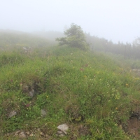 (65/83): Wycieczka na Wielki Krywa� 28.06.2015r.