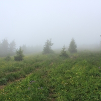 (67/83): Wycieczka na Wielki Krywa� 28.06.2015r.