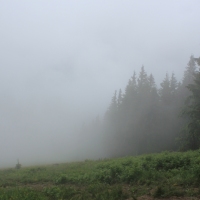 (68/83): Wycieczka na Wielki Krywa� 28.06.2015r.
