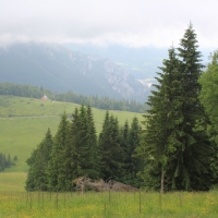 (73/83): Wycieczka na Wielki Krywa� 28.06.2015r.