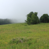 (77/83): Wycieczka na Wielki Krywa� 28.06.2015r.