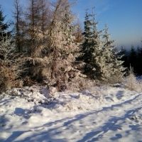 (10/111): Wycieczka w Beskid �l�ski 29.11.2015r.
