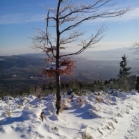 (11/111): Wycieczka w Beskid �l�ski 29.11.2015r.