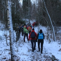 (14/111): Wycieczka w Beskid �l�ski 29.11.2015r.