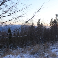 (16/111): Wycieczka w Beskid �l�ski 29.11.2015r.