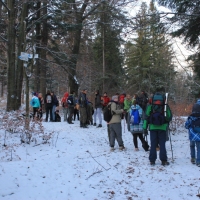 (17/111): Wycieczka w Beskid �l�ski 29.11.2015r.
