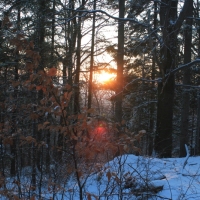 (18/111): Wycieczka w Beskid �l�ski 29.11.2015r.