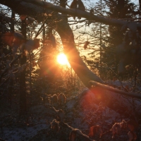 (19/111): Wycieczka w Beskid �l�ski 29.11.2015r.