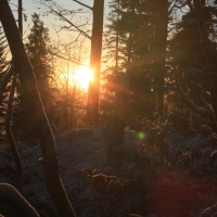 (20/111): Wycieczka w Beskid �l�ski 29.11.2015r.