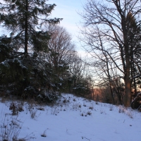 (21/111): Wycieczka w Beskid �l�ski 29.11.2015r.