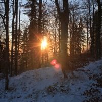 (22/111): Wycieczka w Beskid �l�ski 29.11.2015r.