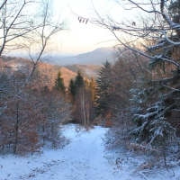 (23/111): Wycieczka w Beskid �l�ski 29.11.2015r.