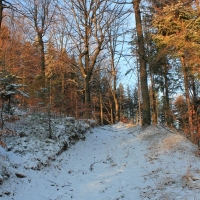 (25/111): Wycieczka w Beskid �l�ski 29.11.2015r.