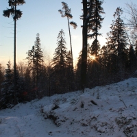 (27/111): Wycieczka w Beskid �l�ski 29.11.2015r.