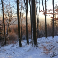 (28/111): Wycieczka w Beskid �l�ski 29.11.2015r.