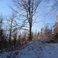 (30/111): Wycieczka w Beskid �l�ski 29.11.2015r.