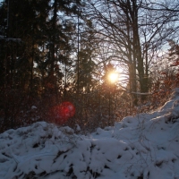 (31/111): Wycieczka w Beskid �l�ski 29.11.2015r.