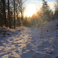 (32/111): Wycieczka w Beskid �l�ski 29.11.2015r.