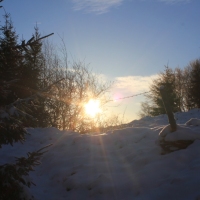 (34/111): Wycieczka w Beskid �l�ski 29.11.2015r.