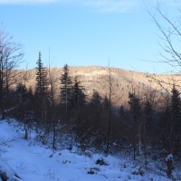 (35/111): Wycieczka w Beskid �l�ski 29.11.2015r.
