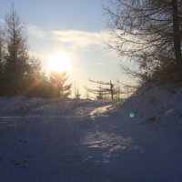 (37/111): Wycieczka w Beskid �l�ski 29.11.2015r.