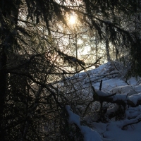 (38/111): Wycieczka w Beskid �l�ski 29.11.2015r.