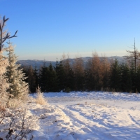 (39/111): Wycieczka w Beskid �l�ski 29.11.2015r.