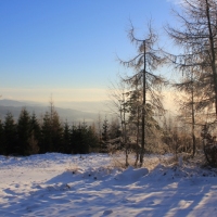 (40/111): Wycieczka w Beskid �l�ski 29.11.2015r.