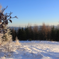 (41/111): Wycieczka w Beskid �l�ski 29.11.2015r.