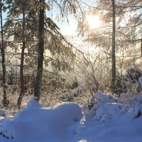 (44/111): Wycieczka w Beskid �l�ski 29.11.2015r.