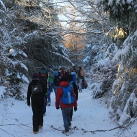 (45/111): Wycieczka w Beskid �l�ski 29.11.2015r.