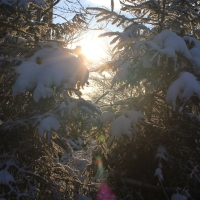 (48/111): Wycieczka w Beskid �l�ski 29.11.2015r.
