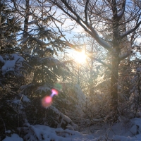 (49/111): Wycieczka w Beskid �l�ski 29.11.2015r.