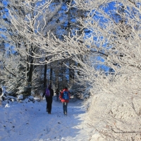 (55/111): Wycieczka w Beskid �l�ski 29.11.2015r.