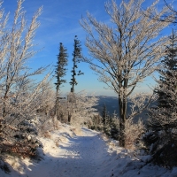 (56/111): Wycieczka w Beskid �l�ski 29.11.2015r.