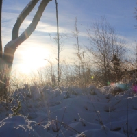 (58/111): Wycieczka w Beskid �l�ski 29.11.2015r.
