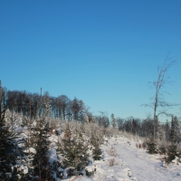 (59/111): Wycieczka w Beskid �l�ski 29.11.2015r.