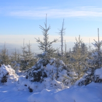 (65/111): Wycieczka w Beskid �l�ski 29.11.2015r.