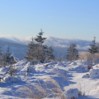 (66/111): Wycieczka w Beskid �l�ski 29.11.2015r.