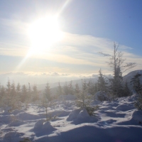 (68/111): Wycieczka w Beskid �l�ski 29.11.2015r.