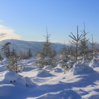 (69/111): Wycieczka w Beskid �l�ski 29.11.2015r.