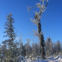 (72/111): Wycieczka w Beskid �l�ski 29.11.2015r.