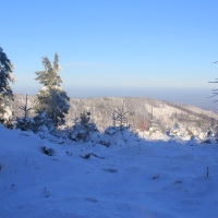 (74/111): Wycieczka w Beskid �l�ski 29.11.2015r.