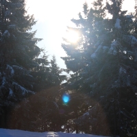 (76/111): Wycieczka w Beskid �l�ski 29.11.2015r.