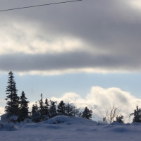 (83/111): Wycieczka w Beskid �l�ski 29.11.2015r.
