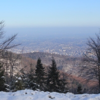 (84/111): Wycieczka w Beskid �l�ski 29.11.2015r.