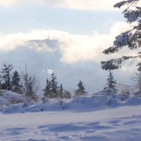 (86/111): Wycieczka w Beskid �l�ski 29.11.2015r.