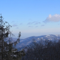 (87/111): Wycieczka w Beskid �l�ski 29.11.2015r.