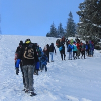 (88/111): Wycieczka w Beskid �l�ski 29.11.2015r.