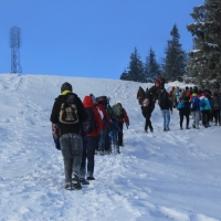 (89/111): Wycieczka w Beskid �l�ski 29.11.2015r.